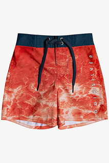 Детские Бордшорты Quiksilver Everyday Rager 12"