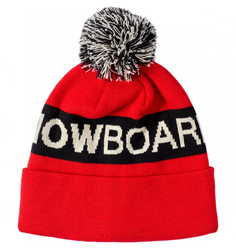 Шапка-Бини Dc Chester