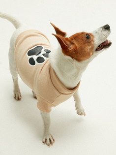 Попона для собак Zarina