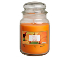 Свеча ароматическая "Апельсин" 510 МЛ Aladino