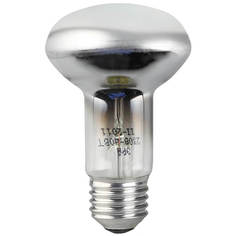 Лампочка Лампа накаливания ЭРА E27 40W 2700K зеркальная ЛОН R63-40W-230-E27 C0040648 ERA