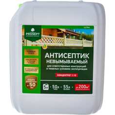 Несмываемый антисептик для ответственных конструкций PROSEPT