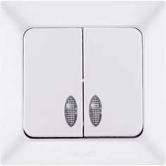 Двухклавишный выключатель NE-AD