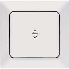 Проходной одноклавишный выключатель NE-AD