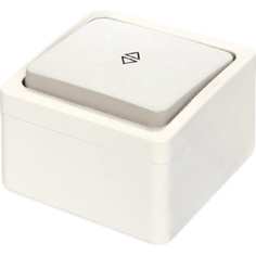 Проходной одноклавишный выключатель NE-AD