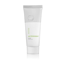 Astringent Mask - Маска для жирной и комбинированной кожи 250 МЛ HL Always Active
