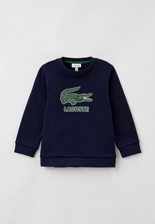 Свитшот Lacoste 