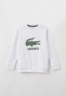 Свитшот Lacoste 