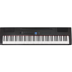 Цифровое пианино Rockdale Elegy RDP-4088 чёрный