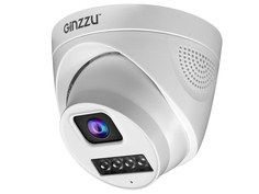 IP камера Ginzzu HID-4303A