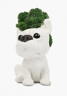 Фигурка декоративная Diego Ferru "Щенок" из гипса, мох