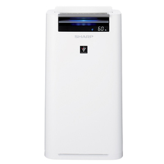 Климатический комплекс Sharp KC-G61RW