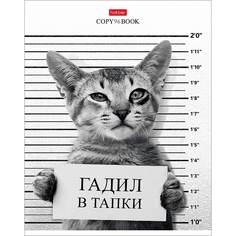 Тетрадь Hatber