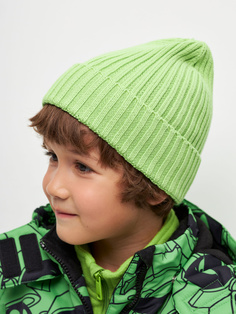Базовая шапка-бини для мальчиков (зеленый, 54) Sela