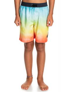 Детские Плавательные Шорты Quiksilver Everyday Faded Logo 15" 8-16 Tarmac