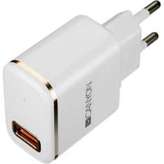 Сетевое зарядное устройство Canyon