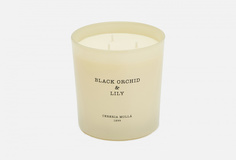 Аромасвеча Cereria Molla