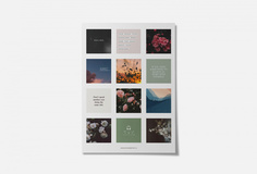 стикеры Avrora Design Studio