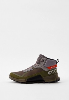 Кроссовки Ecco BIOM 2.1 X MOUNTAIN M