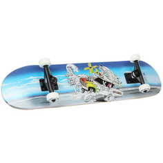 Скейтборде Race Surf 7.8" (Комплект) WSD
