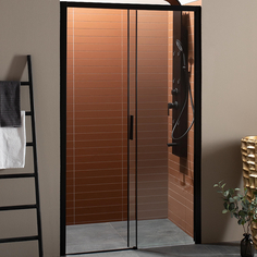 Душевая дверь Aquanet