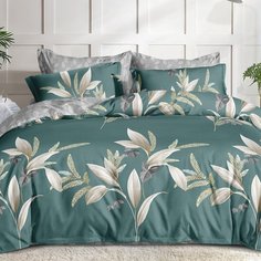 Постельное белье 2-спальное, простыня 175 х 214 см, 2 наволочки 70х70 см, пододеяльник 175 х 214 см, Адель, поплин, Фортеция