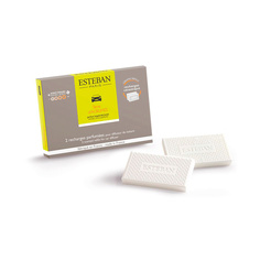 Сменные блоки (2 шт) для автомобильного диффузора Цитрусовый сад 2 МЛ Esteban Paris Parfums