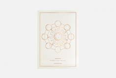 тетрадь Avrora Design Studio