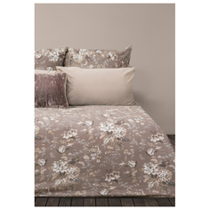 Комплекты Дуэт постельное белье дуэт SOVA&JAVORONOK Английская Роза перкаль 2 нав.50х70см, арт.22031217464