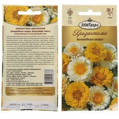 Семена Цветы, Хризантема, Волшебные шары, 0.3 г, цветная упаковка, ЭлитАгро