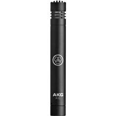 Микрофон для компьютера AKG P170