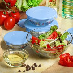 Ст Салатник НАБОР 5шт, 9,10.3,12.5,14,17см, 0.15, 0.2, 0.35, 0.5, 0.9 л с синими крышками DANIKS