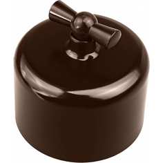 Двухклавишный выключатель Bironi