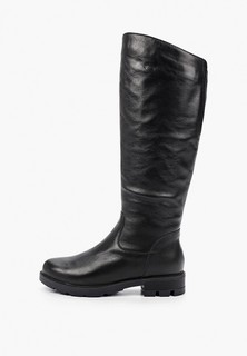 Сапоги Francesco Donni 