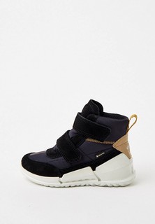 Ботинки Ecco ECCO BIOM K1