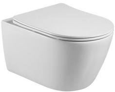 Унитаз подвесной Акватек Бетта AQ1253W-00 безободковый, с сидением микролифт