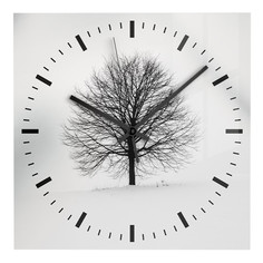 Часы часы настенные БЕЛЛЬ 2 D300мм стекло CH-01-10-01 серый/белый
