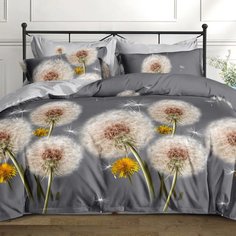 Постельное белье 2-спальное, простыня 175 х 214 см, 2 наволочки 70х70 см, пододеяльник 175 х 214 см, Адель, поплин, Дуняша