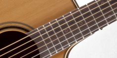 P3DC DREADNOUGHT CUTAWAY Takamine
