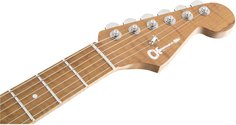 USA Select DK24 HH 2PT Satin White Charvel