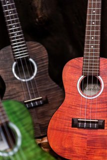 15CFM Rose Red Cordoba