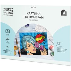 Картина по номерам на картоне Три Совы Wow. Style, с акриловыми красками и кистями, 30 х 40 см