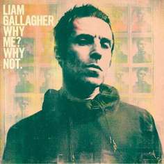 Виниловая пластинка Liam Gallagher - Why Me? Why Not. LP Warner