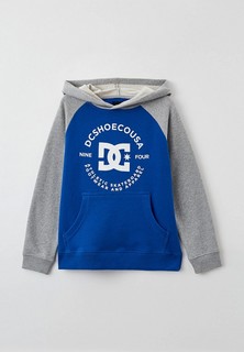 Худи DC Shoes DCSTRPLTRGLNPHB B OTLR BQS2