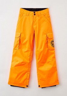 Брюки сноубордические DC Shoes BANSHEE YTH PNT B SNPT NKR0