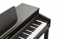 Andante CUP320 SR Kurzweil