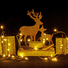 Гирлянда уличная Lotti бахрома 240 LED теплый белый со стартовым шнуром