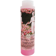 Средства для ванной и душа NESTI DANTE Гель для душа Blooming gardens