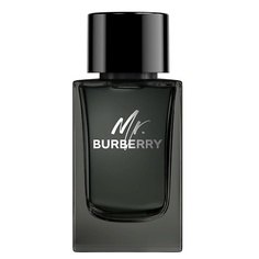 Мужская парфюмерия BURBERRY Mr. Burberry Eau de Parfum 150