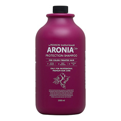 EVAS Pedison Шампунь для волос Арония Institute-beaut Aronia Color Protection Shampoo